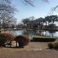 写真: 烏ヶ森公園の池（2月21日）