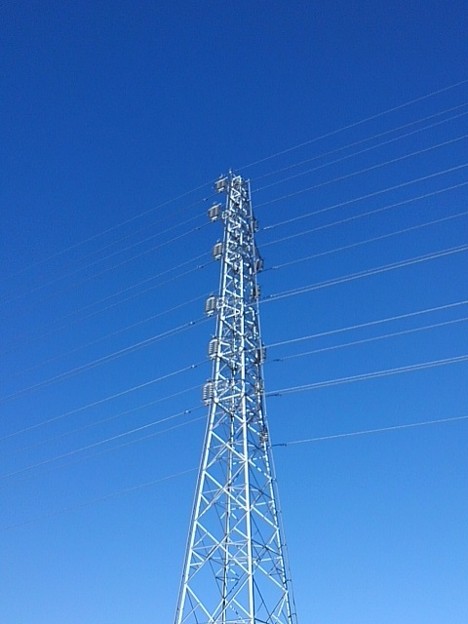 写真: 鉄塔（2月24日）