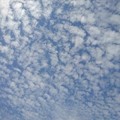 写真: 鱗雲（5月1日）