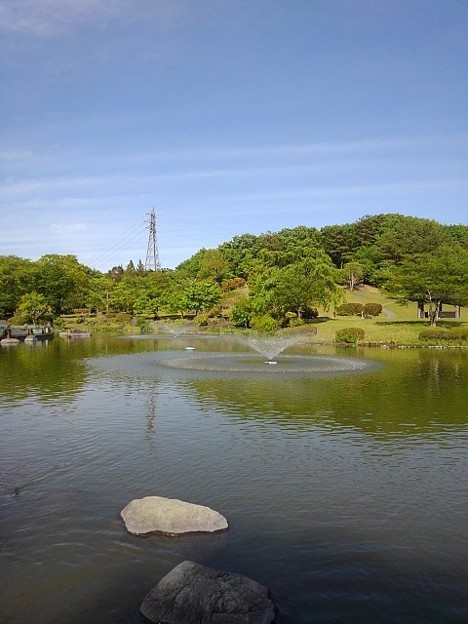 写真: 那須野が原公園の池の見晴らし（5月6日）