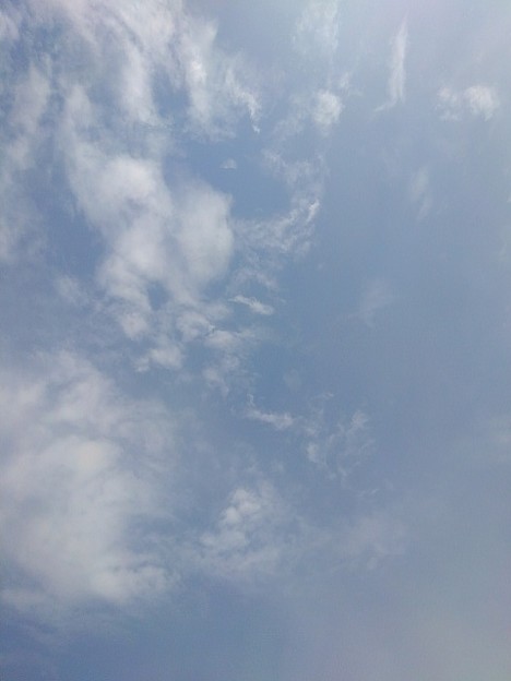 写真: 鱗雲（5月24日）