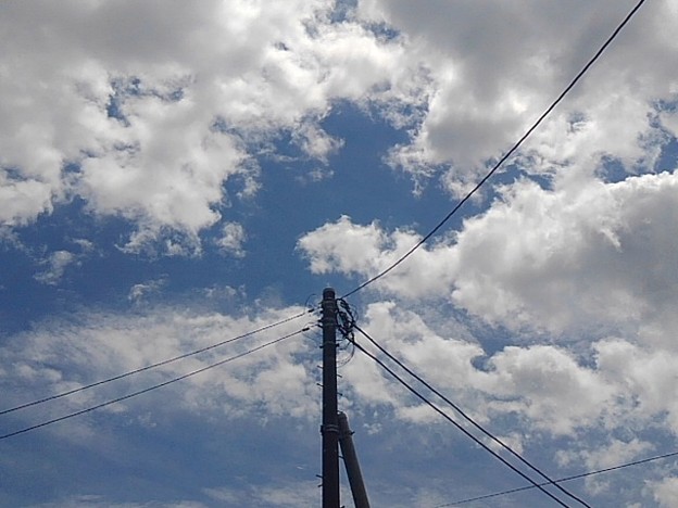 写真: 電柱と空（5月25日）