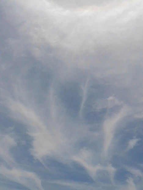 写真: ベールのような雲（5月28日）