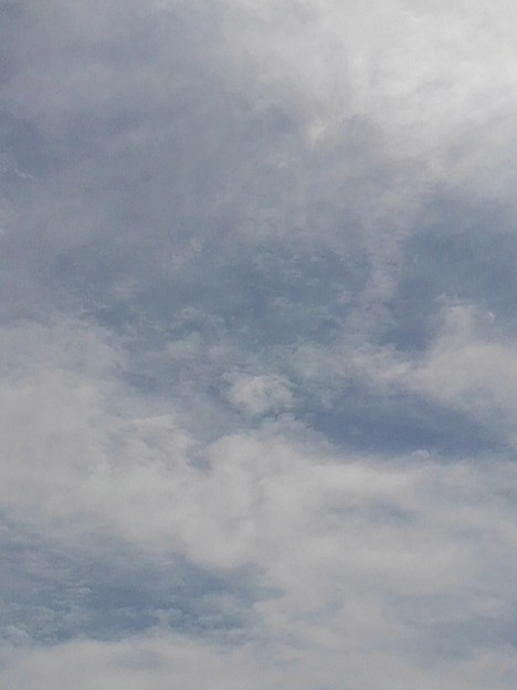 写真: 薄い雲もある青空（5月28日）