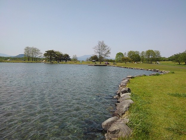 写真: ゆうゆうパークのゆったりした岸辺もある池（5月4日）