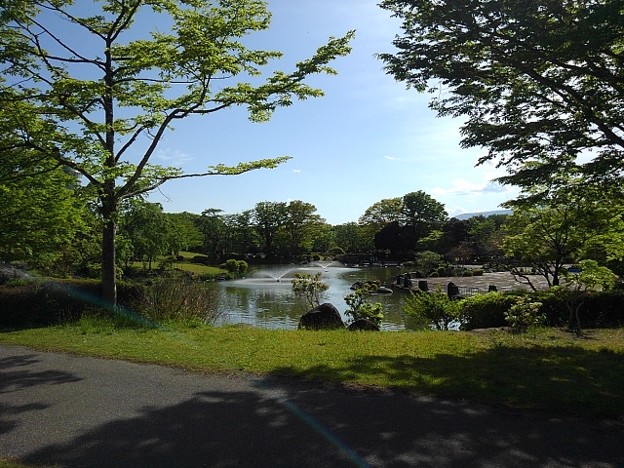 写真: 道から見えた那須野が原公園の池（5月6日）