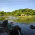 写真: 那須野が原公園の池の絶景（5月6日）