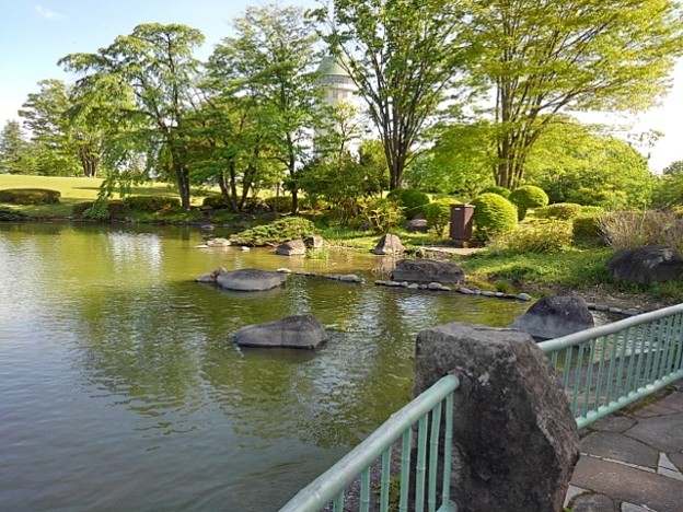 写真: 那須野が原公園の池の手摺りもある岸辺（5月6日）