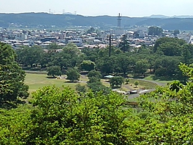 写真: 高い場所から見えた公園の広場（6月13日）