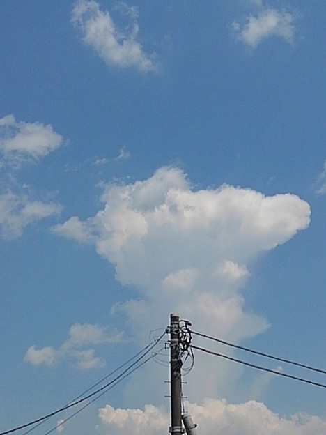 写真: 電柱と雲（7月19日）