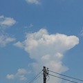 写真: 電柱と雲（7月19日）