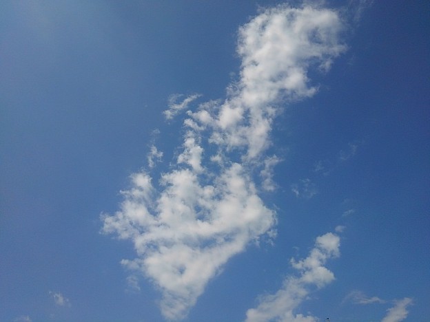 写真: 晴れた空（7月25日）
