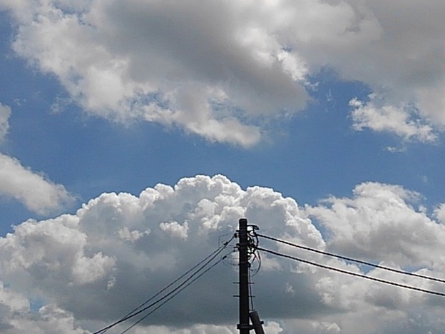 写真: 電柱の奥の入道雲（8月1日）