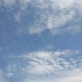 写真: 薄い雲（7月26日）