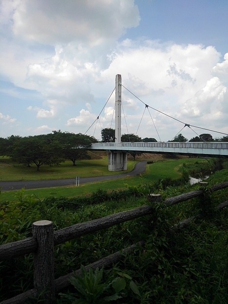 写真: ゆうゆうパークの白い橋と丸太風の柵と大きな雲（7月24日）