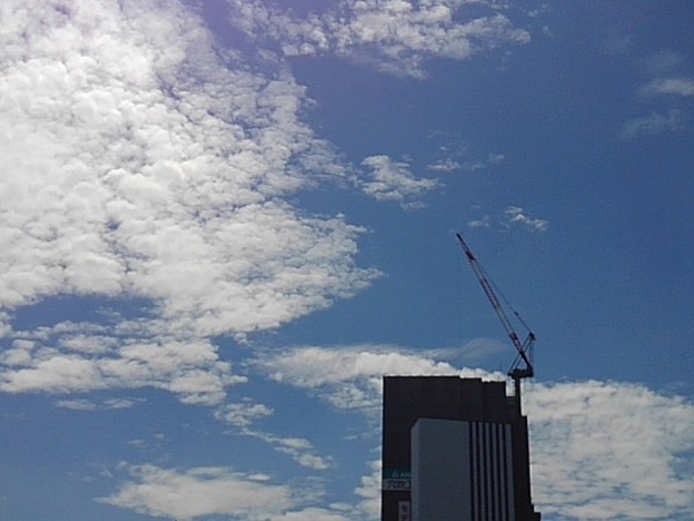 写真: クレーンと鱗雲（8月6日）