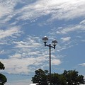 写真: 街灯と街路樹と雲（7月28日）