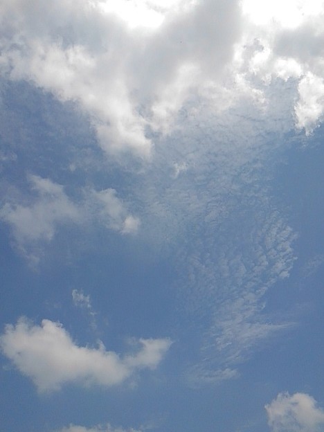 写真: 薄い雲（7月29日）