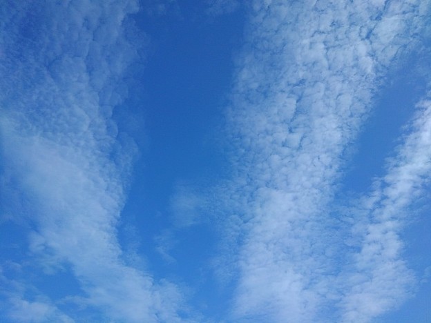 写真: さざ波のような雲と鱗雲（7月31日）
