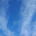 写真: さざ波のような雲と鱗雲（7月31日）
