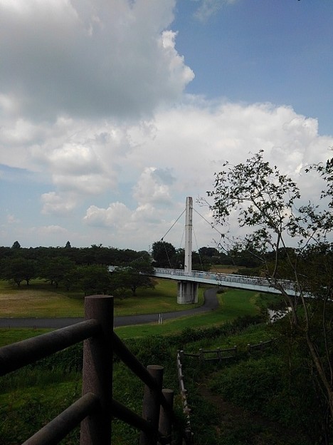 写真: ゆうゆうパークの丘の上から見えた陸橋（7月24日）