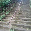 写真: 烏ヶ森公園の丘の急な上り階段（8月12日）