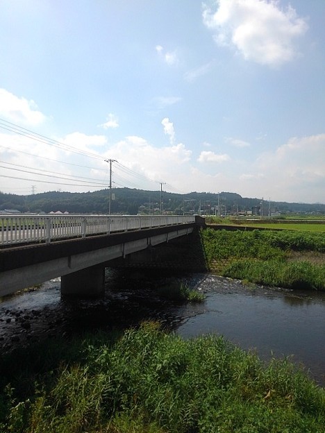 写真: 道路橋と川（8月30日）