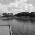 写真: 池の桟橋の景色のモノクロヴァージョン（7月24日）