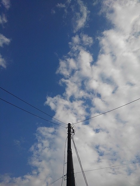 写真: 電柱と空（9月10日）