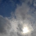 写真: 鱗雲（9月11日）