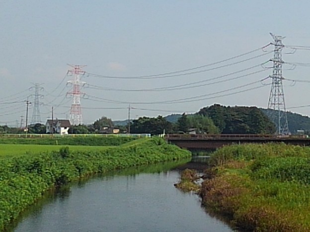 写真: 川崎城跡公園の橋から見えた鉄塔（8月28日）