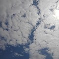 写真: 鱗雲（9月16日）