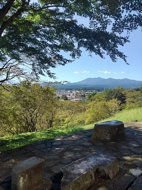 写真: 長峰公園の丘の上のモミジの木と遠くに見える山（9月19日）