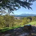 写真: 長峰公園の丘の上のモミジの木と遠くに見える山（9月19日）