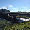 Photos: 道路橋（10月21日）