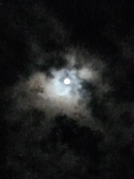 写真: 月（10月22日）