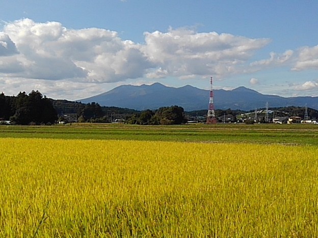 写真: 山と水田（10月24日）