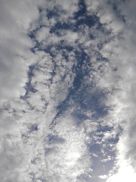 写真: 雲の隙間から見えた鱗雲（10月17日）