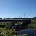 写真: 橋と川の景色（10月14日）