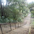 写真: 烏ヶ森公園の丘の下り階段（10月3日）