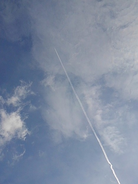 写真: 飛行機雲（11月8日）
