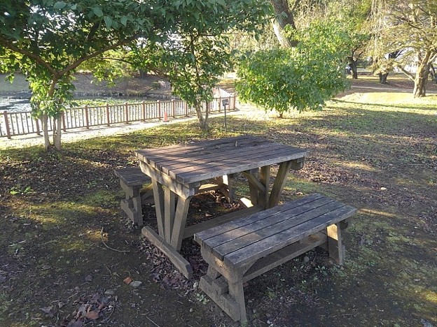 写真: 長峰公園の池近くのテーブルのある広場（10月30日）