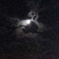 写真: 月のある夜空（11月25日）