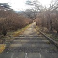 写真: 長峰公園の丘のゆったり階段・下り（12月4日）