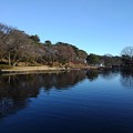 写真: 烏ヶ森公園の青い池（12月19日）