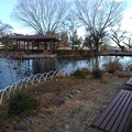 烏ヶ森公園の池の岸辺とベンチ（12月19日）