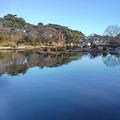 写真: 烏ヶ森公園の映り込みも綺麗な池（12月19日）