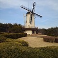 写真: 那須野が原公園の風車（1月23日）