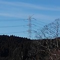 写真: 川崎城跡公園の丘の上から見えた鉄塔（1月19日）