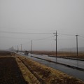 写真: 田園地帯の道路（2月10日）